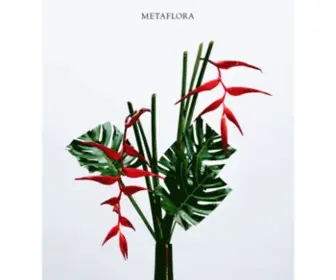 Metafloranyc.com(METAFLORA) Screenshot