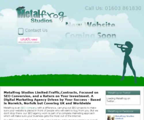 Metalfrogstudios.com(SEO Company) Screenshot