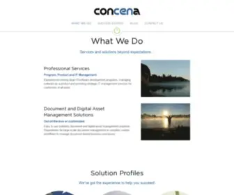 Metalogic-INC.com(Concena) Screenshot