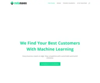 Metamaven.com(Grow Your Revenue With Machine Intelligence) Screenshot