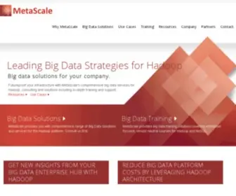 Metascale.com(Complete Big Data Services and Solutions including Hadoop) Screenshot