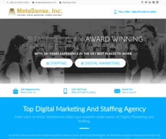 Metasenseusa.com(MetaSense Inc) Screenshot