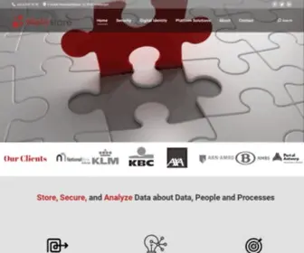 MetaStore.eu(Intelligent IT management solutions) Screenshot