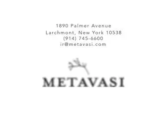 Metavasi.com(Metavasi Capital) Screenshot