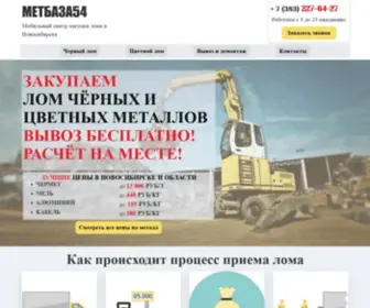 Metbaza54.ru(МЕТБАЗА54) Screenshot