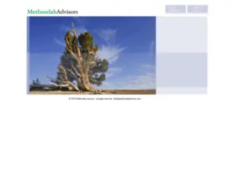 Methuselahadvisors.com(Methuselah Advisors) Screenshot