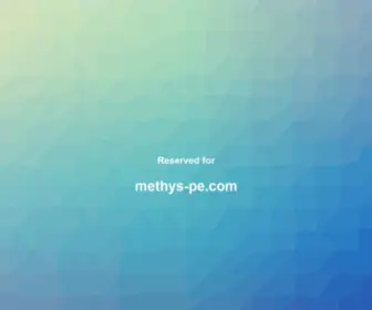 Methys-PE.com(Methys PE) Screenshot