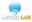Metrolab.biz Logo