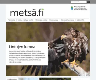 Metsafi-Lehti.fi(Metsä.fi) Screenshot