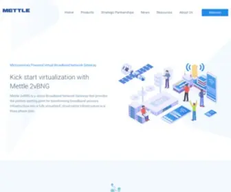 Mettlenetworks.com(Mettle Networks) Screenshot