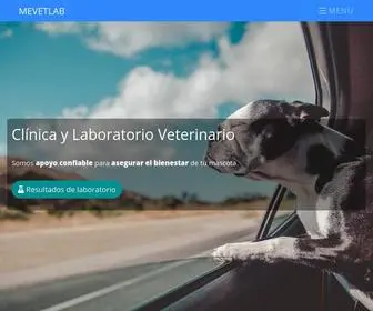 Mevetlab.cl(Laboratorio y Clínica Veterinaria) Screenshot