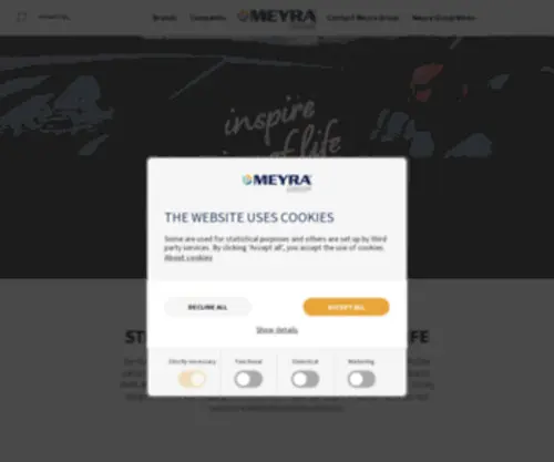Meyragroup.com(Meyragroup) Screenshot