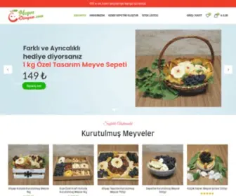 Meyvedunyam.com(Meyve Dünyam) Screenshot