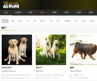 Mgous.com(萌狗网) Screenshot