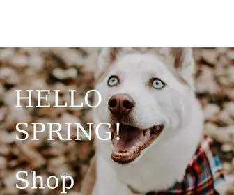 Miamacys.com(MIA) Screenshot