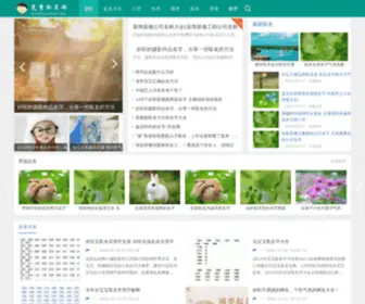 Mianfeiquming.com(免费取名网) Screenshot