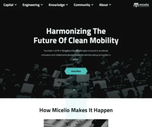 Micelio.com(Micelio) Screenshot