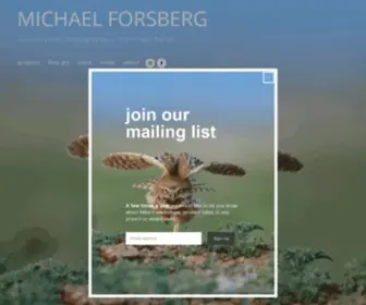 Michaelforsberg.com(MICHAEL FORSBERG photography) Screenshot