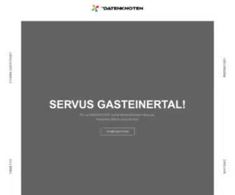 Michel-EDV.at(SERVUS GASTEINERTAL) Screenshot