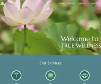 Michiganintegrativemedicine.com(Holistic MD) Screenshot