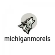 Michiganmorels.com Favicon