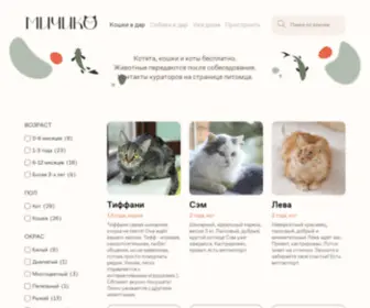 Michiko.ru(Котята и кошки в добрые руки бесплатно в Москве и МО) Screenshot