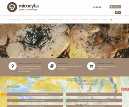 Micocyl.es(Inicio) Screenshot