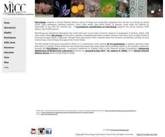 Microfungi.org(microfungi) Screenshot