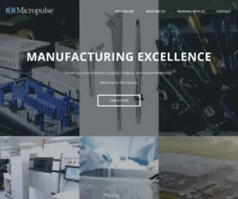 Micropulseinc.com(Micropulse Incorporated) Screenshot