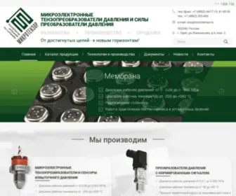 Microtensor.ru(Компания) Screenshot