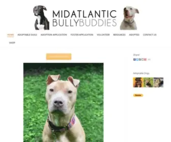 Midatlanticbullybuddies.org(Our mission) Screenshot