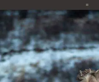 Middlecreekranchco.com(Luxury Private Ranch Colorado) Screenshot