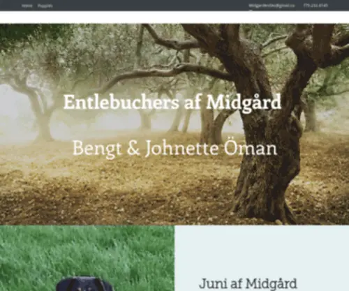 Midgardentles.com(Entlebuchers af Midgard) Screenshot