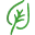 Midori-NO-Mori.jp Favicon