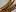 Midwestsax.com Favicon