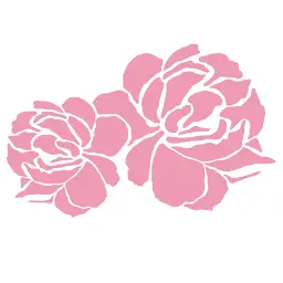 Mijona.co.za Favicon