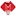Mikadococuk.com Favicon