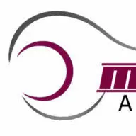 Mikebarrymotors.com Logo