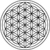 Mikijohnson.com Favicon