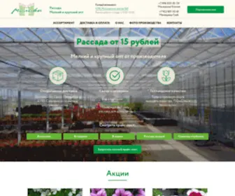 Milava-Rassada.ru(Цветочная) Screenshot
