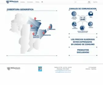 Milenium-Nea.com.ar(Bienvenidos) Screenshot
