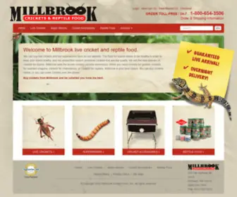 Millbrookcrickets.com(Crickets, Lizard Food from Millbrook Cricket Farms) Screenshot