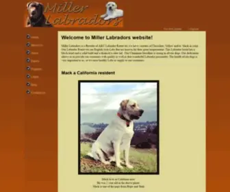 Millerlabradors.com(Miller Labradors) Screenshot