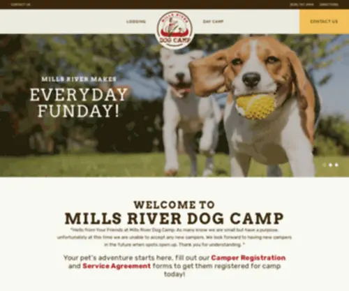 Millsriverdogcamp.com(South Asheville dog day care) Screenshot