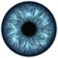 Millvalleyoptometry.com Favicon