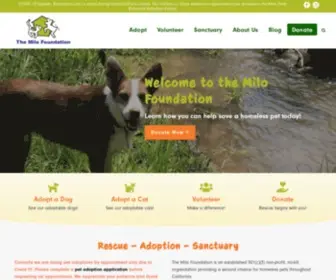 Milofoundation.org(Adopt a dog or cat or pet from The Milo Foundation animal rescue) Screenshot