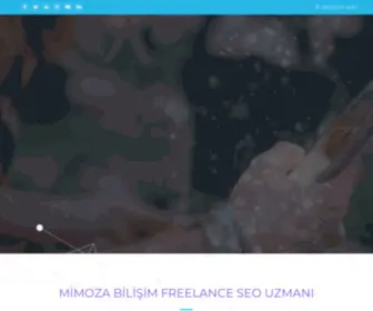Mimozabilisim.com(Mimozabilisim) Screenshot