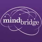 Mindbridge.co.uk Favicon