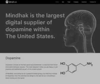 Mindhak.org(A Leader in Web Design) Screenshot