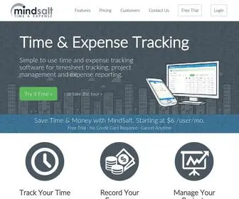 Mindsalt.com(Simple Time Tracking Software) Screenshot